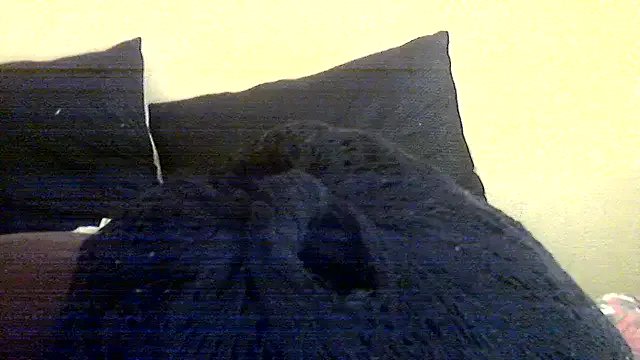 AnnabigpussyXO on StripChat 