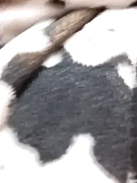 Laxmi_89 from StripChat