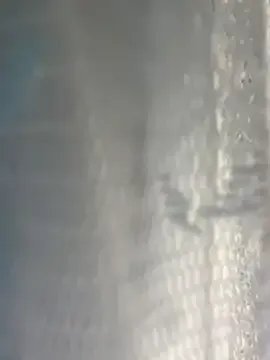 Vannie_vanh on StripChat 